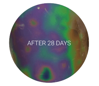cellulite reduction after 28 days