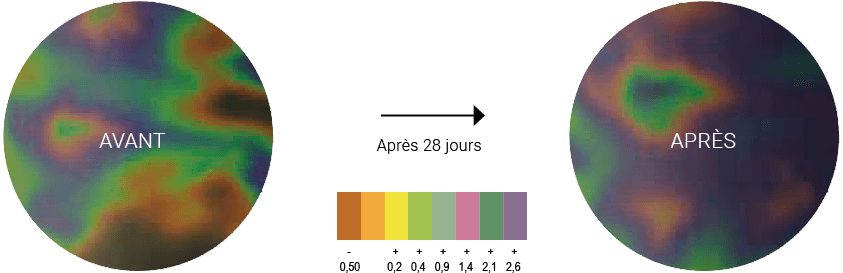microcircolo