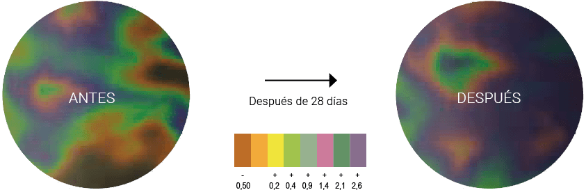 microcircolo